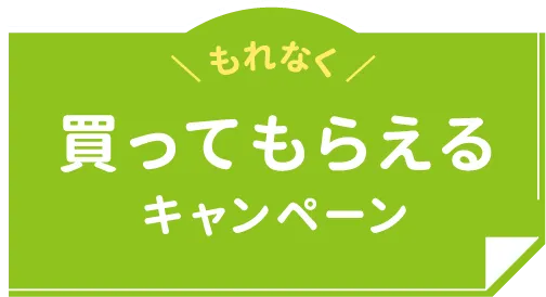 買ってもらえるキャンペーン