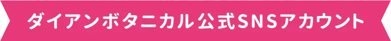ダイアンボタニカル公式SNSアカウント
