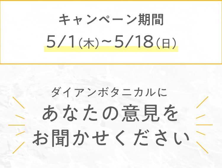 プレゼントキャンペーン中