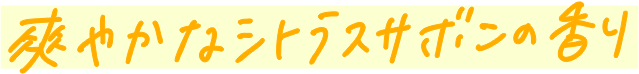 爽やかなシトラスサボンの香り